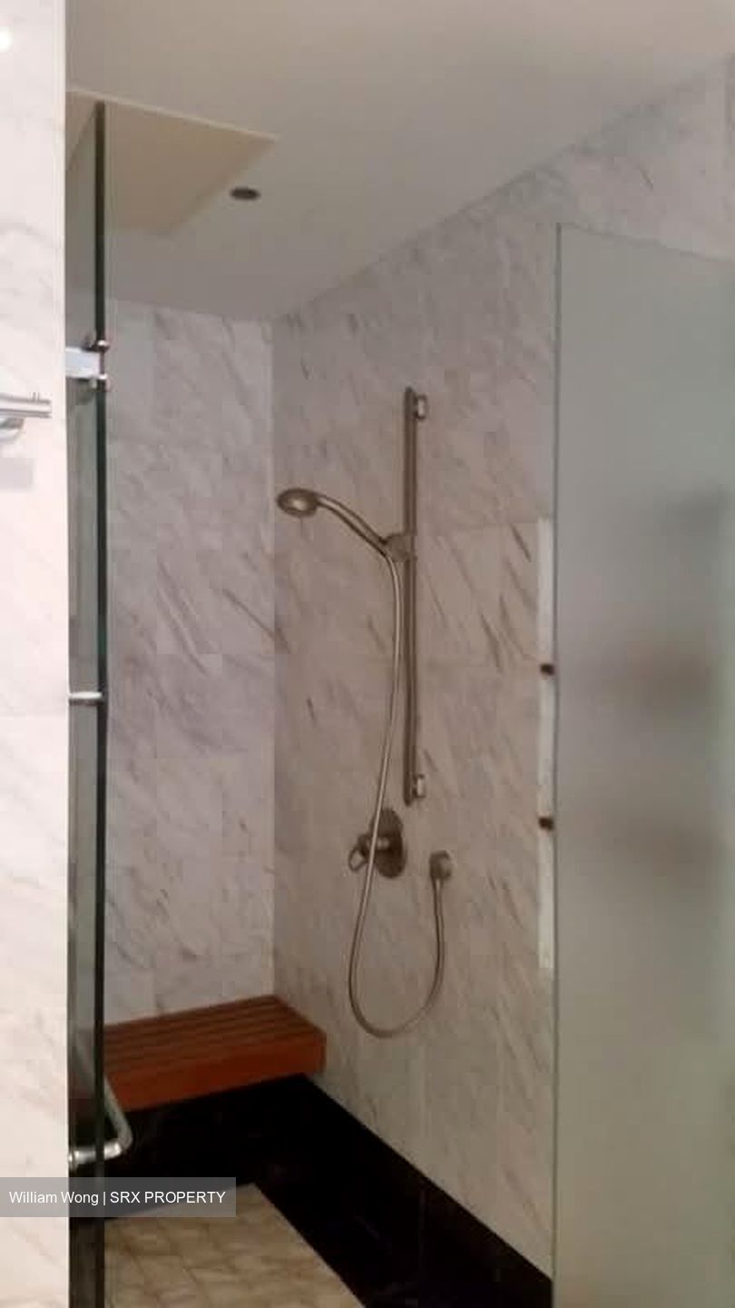 Setia Residences (D11), Apartment #558504801